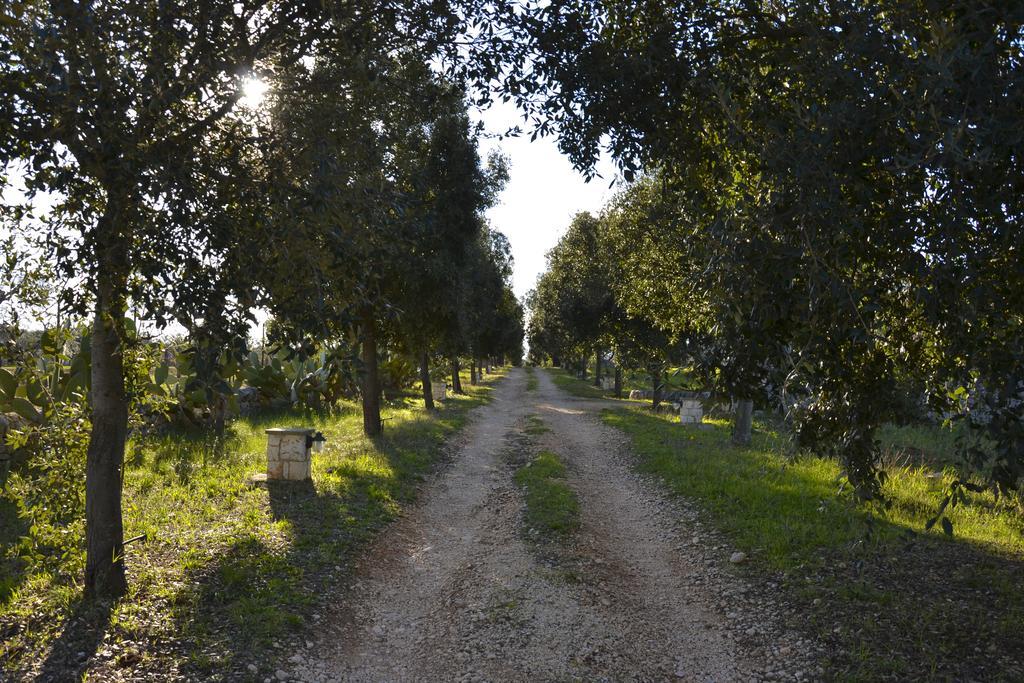 B&B Masseria Del Marchese Castellana Grotte Oda fotoğraf